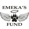 Emeka's Fund